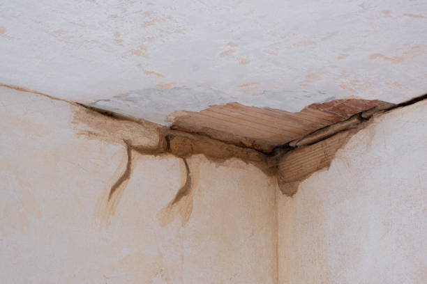 Best Fire Damage Restoration  in Beavercreek, OH