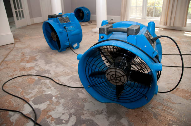 Best 24/7 water damage repair  in Beavercreek, OH