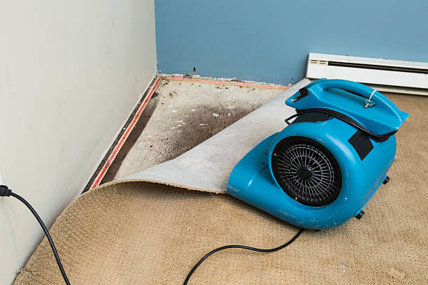 Best 24/7 water damage repair  in Beavercreek, OH